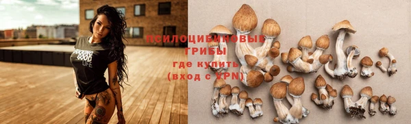 твердый Балахна